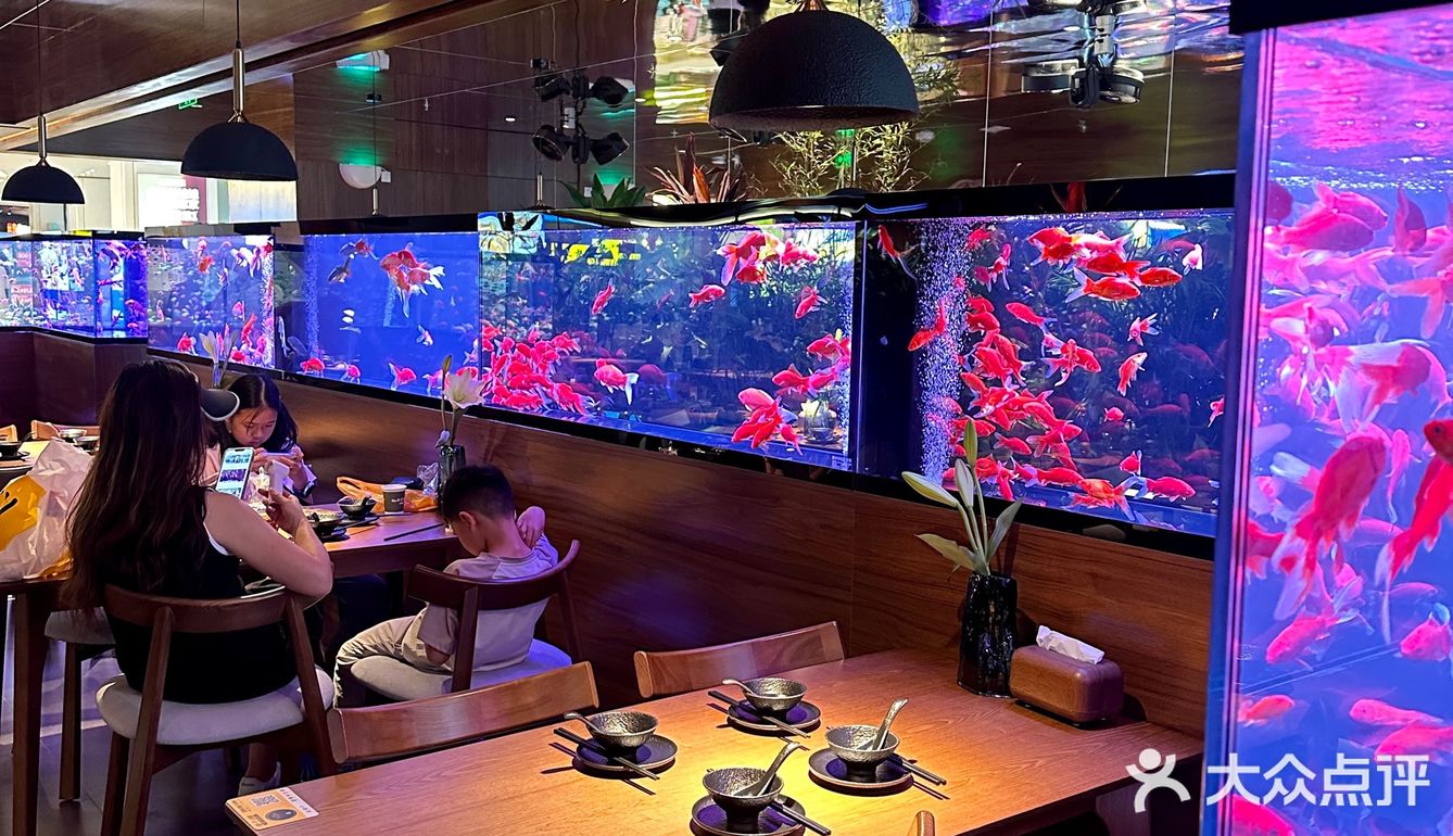 贵阳新店！小鱼餐厅好美啊！！🎏