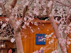 -春风习习