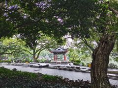 -桂林市榕杉湖景区