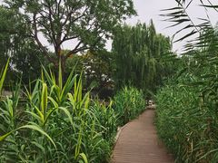 -春风习习