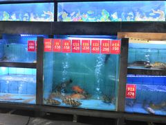 水产区-悦湖公馆