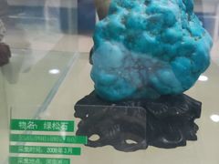 -郑州自然博物馆(惠济区)