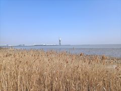 -上海吴淞炮台湾国家湿地公园