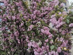 -颐高数码(西溪店)