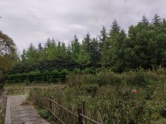 -洛阳市隋唐城遗址植物园