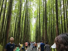 -山王坪喀斯特国家生态公园