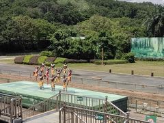 -深圳野生动物园
