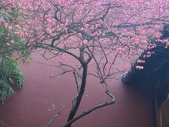 -钱王祠