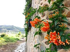 -云水谣景区