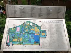 -九龙公园