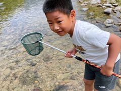 -白河湾生态旅游一条川