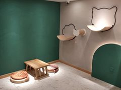 -飞行喵MR PILOT|猫舍·猫咖(静安大融城店)