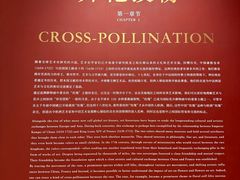 -德基艺术博物馆