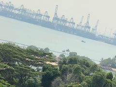 -圣淘沙天际线斜坡滑车