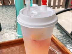 -柴犬高等学院·狗咖·柴犬售卖·宠物训练