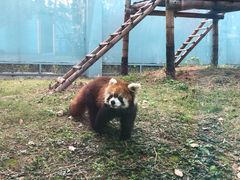 -无锡动物园·太湖欢乐园