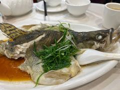 -渔意楼·驰名沙田乳鸽(五羊旗舰店)