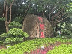 -野狸岛
