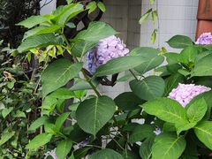 -花迹(富春江东街店)