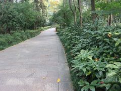 -杭州半山国家森林公园