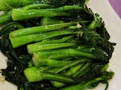 蒜蓉炒菜心-金厨坊(钻石城店)