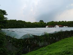 -嘉北郊野公园