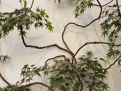 -耳艺采耳·足疗·按摩SPA(市桥店)