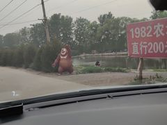 -1982农场