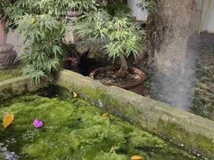 -成都杜甫草堂博物馆