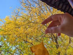 -南山风景名胜区