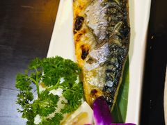 -花狸日本料理(柏庐广场店)