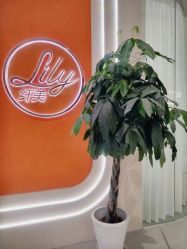-Lily纤美·科技减脂中心