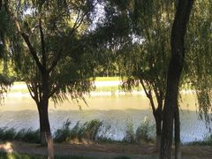 -秀水公园