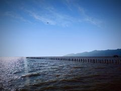 -哈素海
