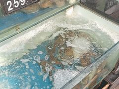 -浩运海鲜·16年专注青岛菜(石老人店)