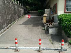 24小时免费开放-南岗山公园