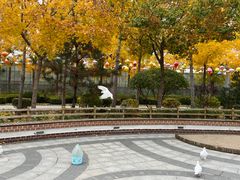 -南宫五洲植物乐园