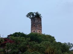 -江心屿景区
