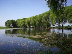 -洪湖生态旅游区