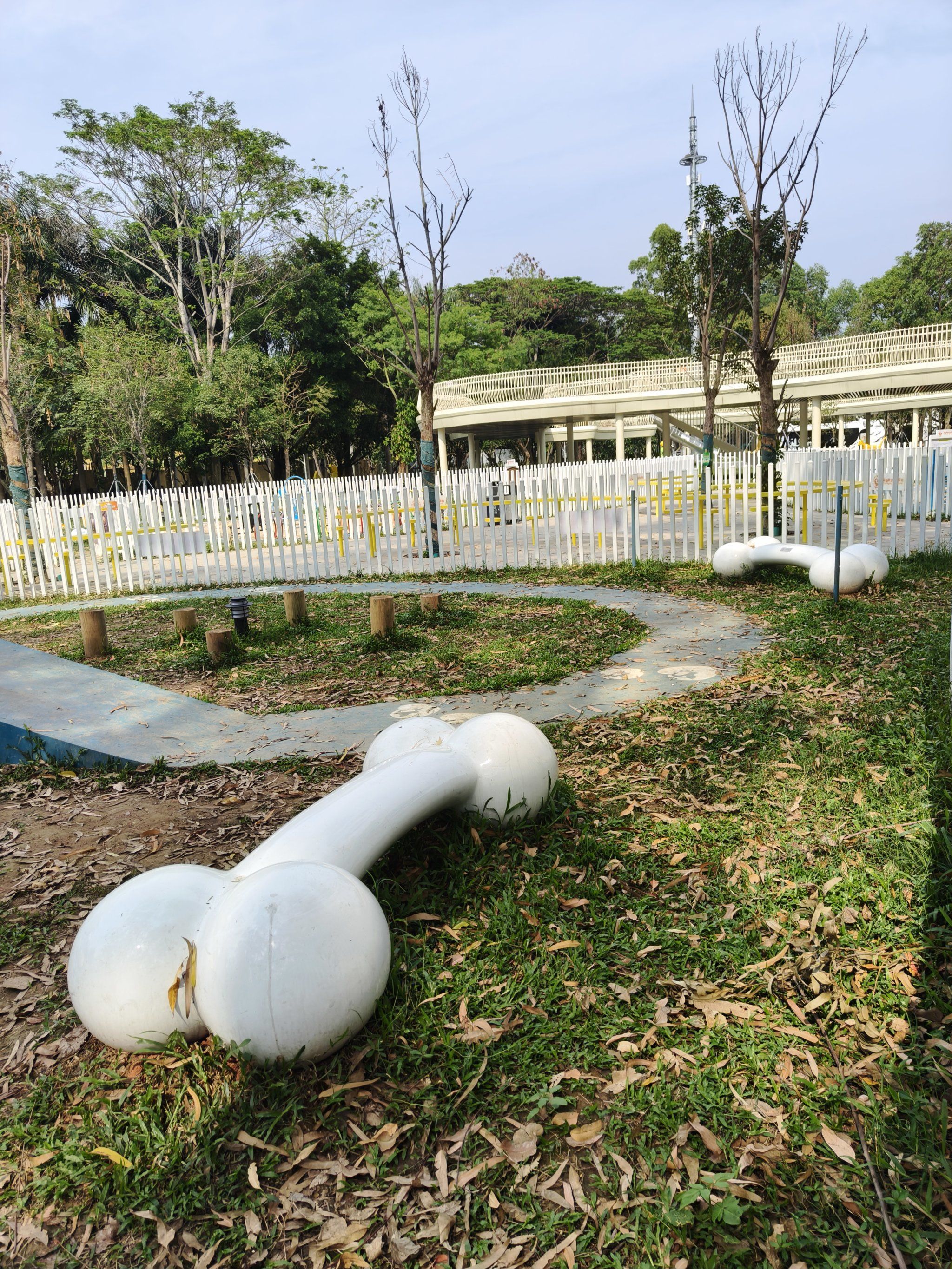 深圳最大的宠物公园|云曦萌宠绿地小游园