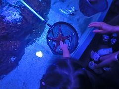 -成都浩海立方海洋公园