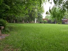 清炒手剥河虾仁-北门饭店(三香路店)