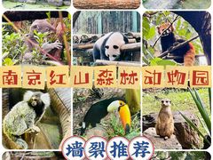 -红山森林动物园