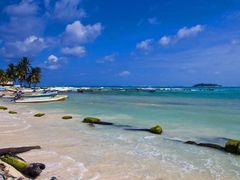 -朝郡酒家·粤菜(燕大星苑店)