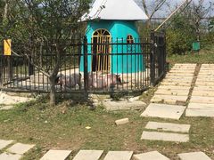 -上海滴水湖皇冠假日酒店