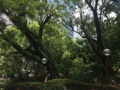 -香港大学