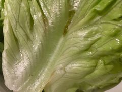 生菜-海银海记潮汕牛肉火锅(新港中路海珠店)