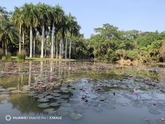 -中国科学院西双版纳热带植物园