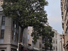 -汕头市小公园