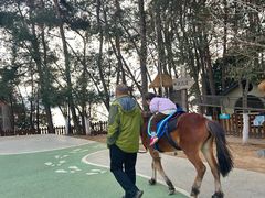 -杭州千岛湖开元度假村